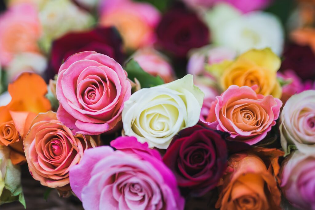 Rose colours have many meanings so perfect to represent how you feel during your wedding ceremony