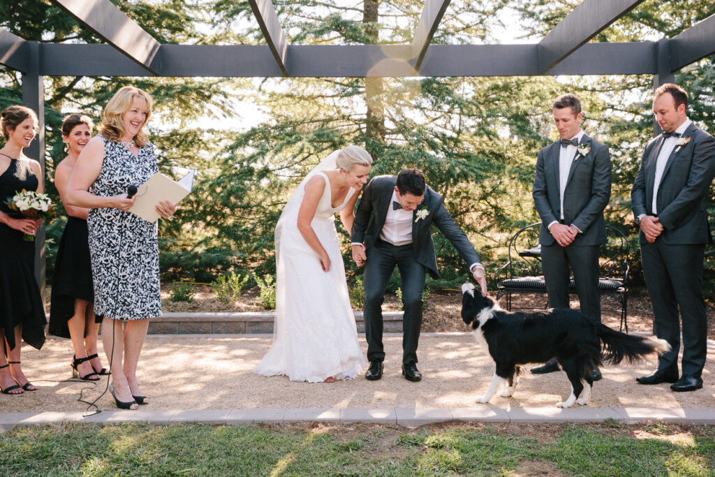 Jen and Andrew's wedding ceremony with pets